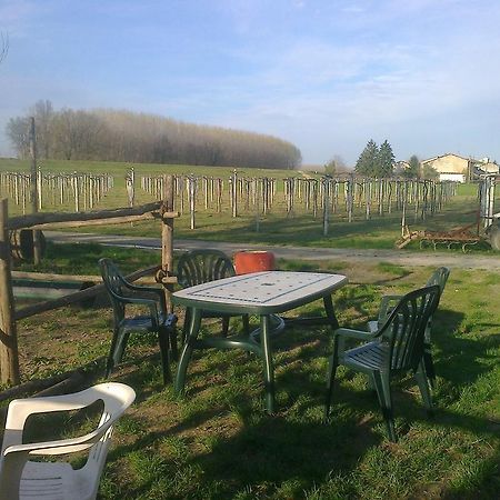 Agriturismo Antica Golena Гвасталла Экстерьер фото