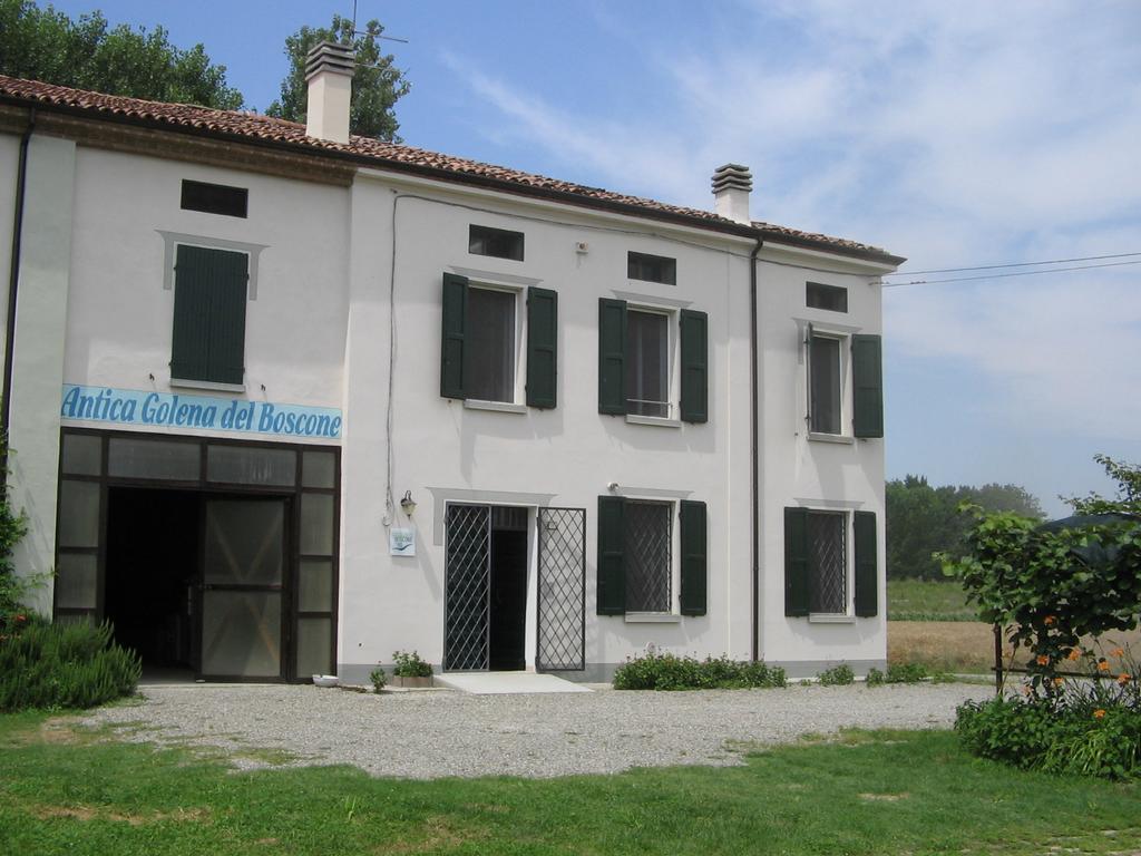 Agriturismo Antica Golena Гвасталла Экстерьер фото